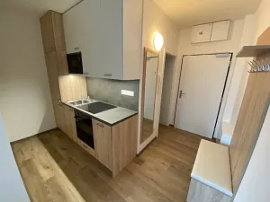 Pronájem bytu 1+kk, Jihlava, Okružní, 28 m2