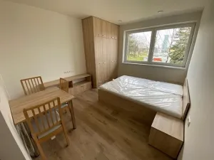 Pronájem bytu 1+kk, Jihlava, Okružní, 31 m2