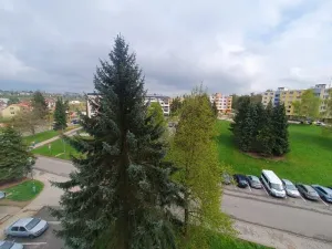 Prodej bytu 2+1, Jihlava, Březinova, 48 m2