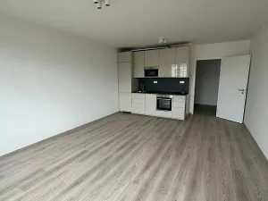 Prodej bytu 2+kk, Praha - Holešovice, U Pergamenky, 59 m2