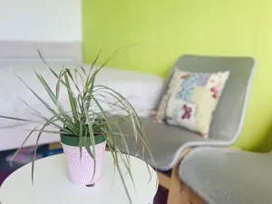 Prodej bytu 3+1, Žďár nad Sázavou, Purkyňova, 74 m2