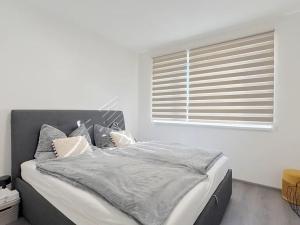 Pronájem bytu 2+kk, Brno, Chvalovka, 56 m2