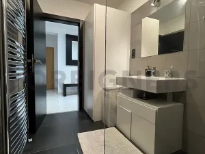 Pronájem bytu 3+kk, Olomouc, Horní lán, 67 m2