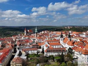 Prodej bytu 2+kk, Znojmo, Havlíčkova, 69 m2