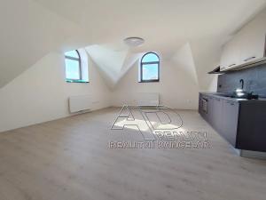 Pronájem bytu 2+kk, České Budějovice, Fráni Šrámka, 59 m2