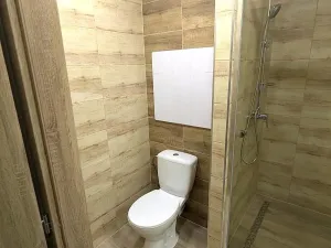 Pronájem bytu 2+kk, Ústí nad Labem, Mlýnská, 54 m2