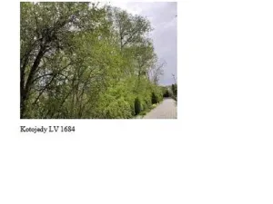 Dražba rodinného domu, Kroměříž, 214 m2