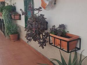 Prodej bytu 3+kk, Scalea, Kalbrie, Itálie, 60 m2