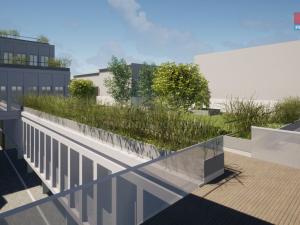 Pronájem obchodního prostoru, Opava - Město, Masarykova třída, 120 m2