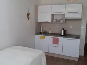 Prodej bytu 1+kk, Luhačovice, Leoše Janáčka, 28 m2