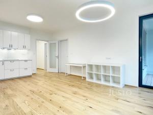 Pronájem bytu 2+kk, Praha - Vinohrady, Závišova, 57 m2