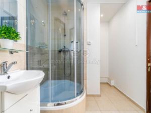 Prodej bytu 4+1, Brandýs nad Labem-Stará Boleslav - Brandýs nad Labem, Na vinici, 84 m2