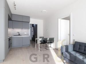 Prodej bytu 2+kk, Praha - Žižkov, Hartigova, 47 m2