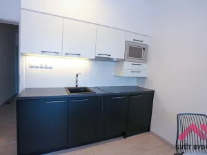 Pronájem bytu 1+kk, Praha - Karlín, U Mlýnského kanálu, 36 m2