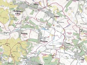 Prodej louky, Brumovice, 9612 m2