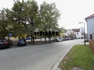 Pronájem rodinného domu, Průhonice, Františka Zemana, 400 m2
