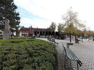 Pronájem rodinného domu, Průhonice, Františka Zemana, 400 m2