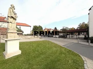 Pronájem rodinného domu, Průhonice, Františka Zemana, 400 m2