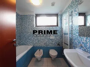 Pronájem rodinného domu, Praha - Nebušice, Nebušická, 260 m2