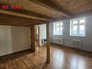 Pronájem bytu 1+1, Český Těšín, Havlíčkova, 52 m2
