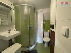 Prodej rodinného domu, Radovesice, 49 m2