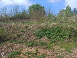 Prodej pozemku pro bydlení, Nesovice, 2541 m2