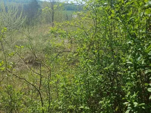 Prodej pozemku pro bydlení, Nesovice, 2541 m2