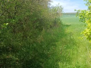 Prodej pozemku pro bydlení, Nesovice, 2541 m2