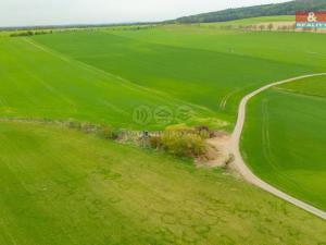 Prodej louky, Olešnice, 730 m2
