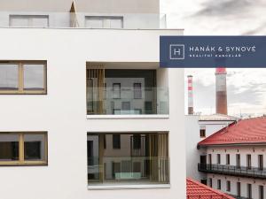 Pronájem bytu 1+kk, Brno, Cejl, 26 m2