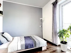 Pronájem rodinného domu, Prostějov, Žitná, 380 m2