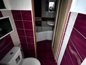 Prodej bytu 2+1, Plzeň, Lábkova, 45 m2