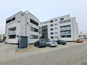 Pronájem bytu 2+kk, Mladá Boleslav, Na Radouči, 62 m2