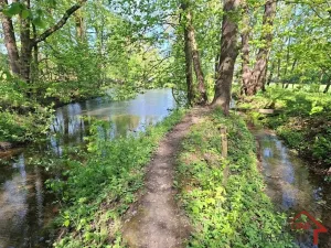 Pronájem rybníku, Bystřice pod Hostýnem, 781 m2