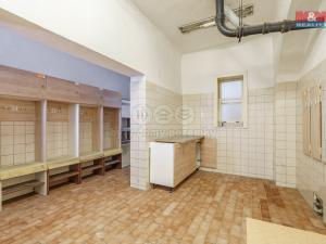 Prodej obchodního prostoru, Karlovy Vary - Doubí, Studentská, 1923 m2