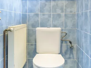 Prodej chalupy, Chotěboř, 155 m2