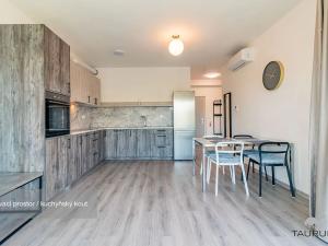 Pronájem bytu 2+kk, Plzeň, Truhlářská, 57 m2