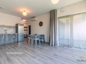 Pronájem bytu 2+kk, Plzeň, Truhlářská, 57 m2