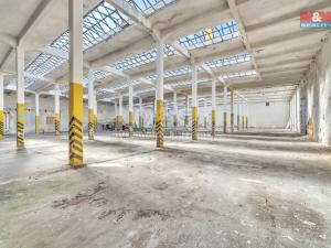 Prodej výrobních prostor, Červená Voda, 1500 m2