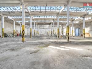 Prodej skladu, Červená Voda, 1500 m2