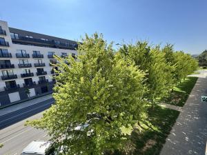 Prodej bytu 2+1, Olomouc - Nová Ulice, Wolkerova, 58 m2