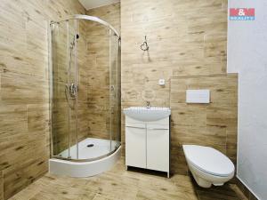 Pronájem bytu 1+kk, Janovice nad Úhlavou, Rozvojová zóna, 24 m2