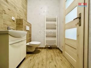 Pronájem bytu 1+kk, Janovice nad Úhlavou, Rozvojová zóna, 24 m2