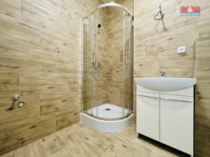 Pronájem bytu 1+kk, Janovice nad Úhlavou, Rozvojová zóna, 24 m2