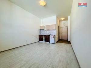 Pronájem bytu 1+kk, Janovice nad Úhlavou, Rozvojová zóna, 24 m2