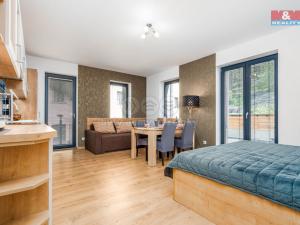 Prodej bytu 1+kk, Vrchlabí, Horská, 44 m2