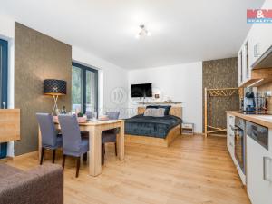 Prodej bytu 1+kk, Vrchlabí, Horská, 44 m2