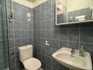Pronájem bytu 1+kk, Brno, Botanická, 27 m2