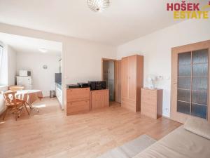 Prodej bytu 1+kk, Brno, U Leskavy, 33 m2