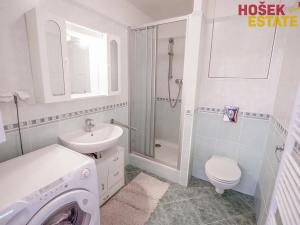 Prodej bytu 1+kk, Brno, U Leskavy, 33 m2
